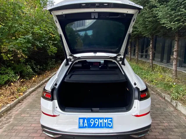 Volkswagen Lamando — Фото автомобиля 7