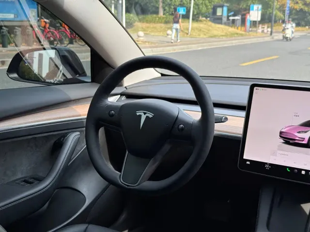 Tesla Model 3 — Фото автомобиля 8