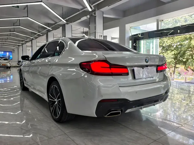 BMW 5 Series — Фото автомобиля 8