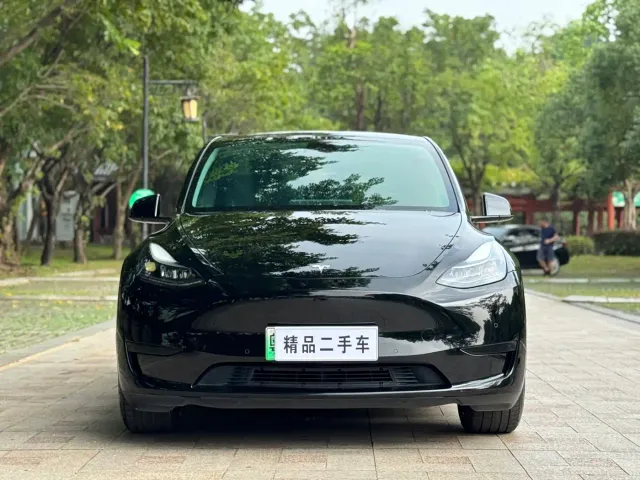 Tesla Model Y — Фото автомобиля 2