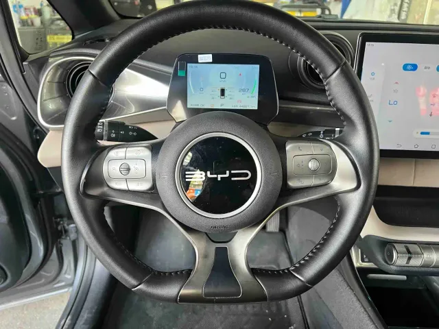 BYD Dolphin — Фото автомобиля 4