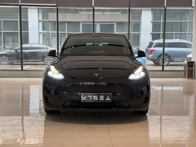 Tesla Model Y — Фото автомобиля 2