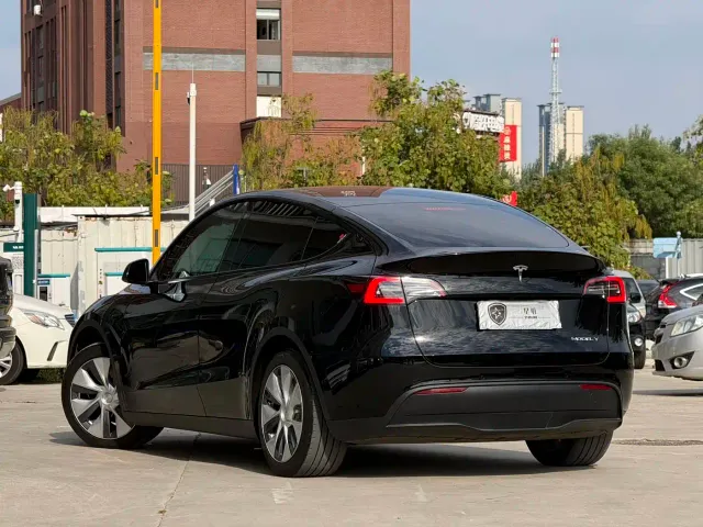 Tesla Model Y — Фото автомобиля 4