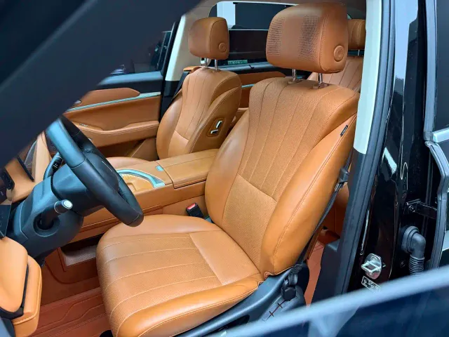 Wey Lanshan — Фото автомобиля 11