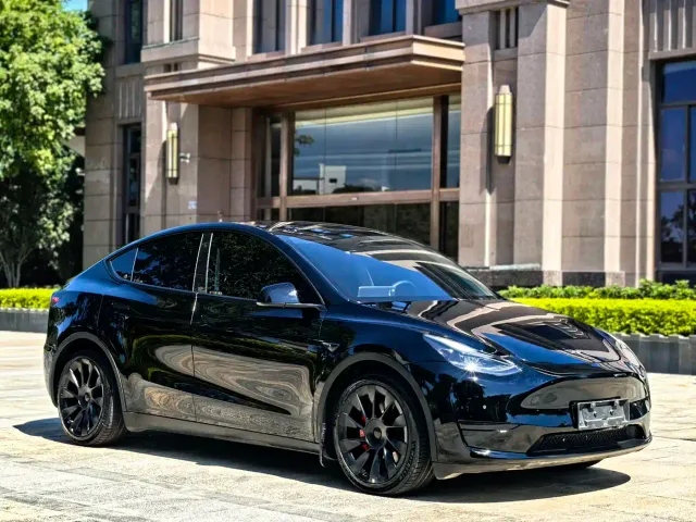 Tesla Model Y — Фото автомобиля 3