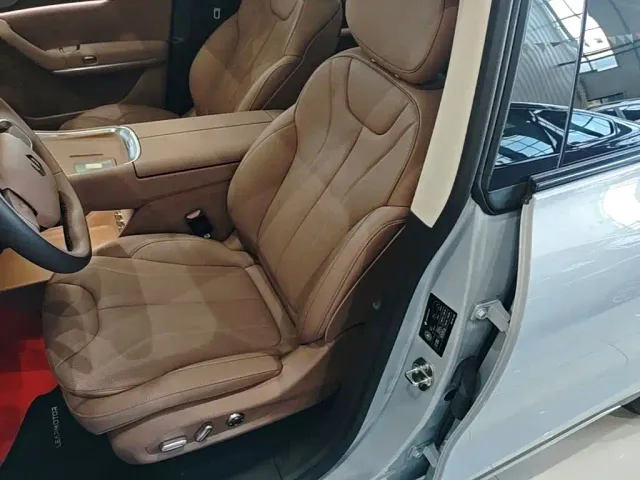 Leapmotor C11 — Фото автомобиля 14
