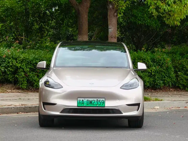 Tesla Model Y — Фото автомобиля 2