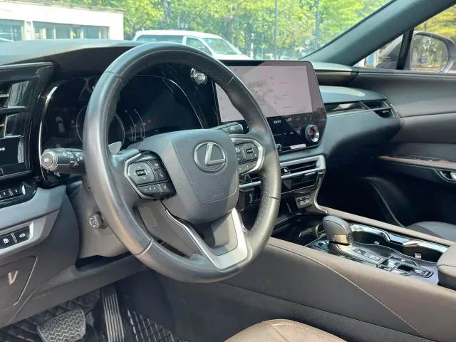Lexus RX — Фото автомобиля 14