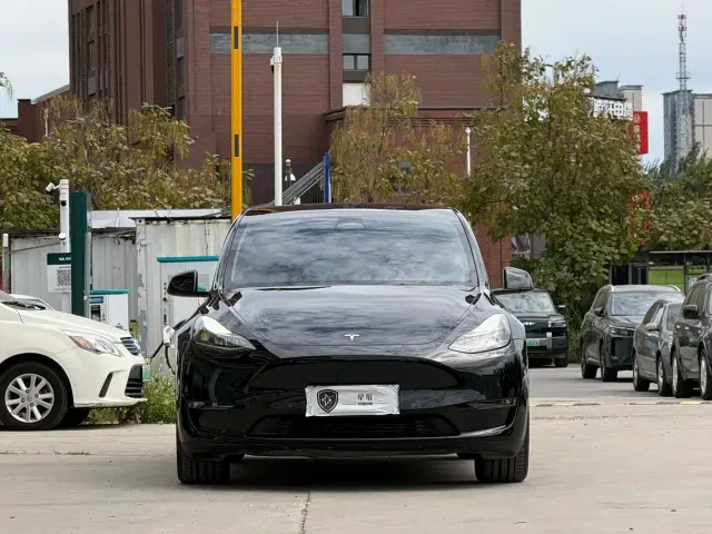 Tesla Model Y — Фото автомобиля 2