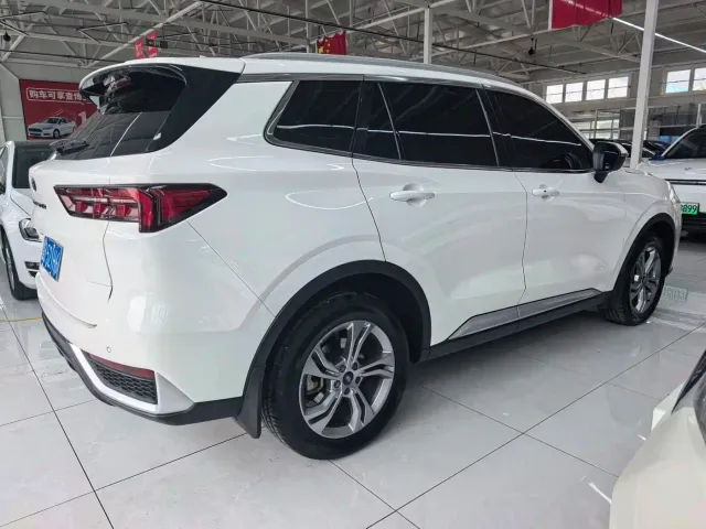 Ford Lingrui — Фото автомобиля 3