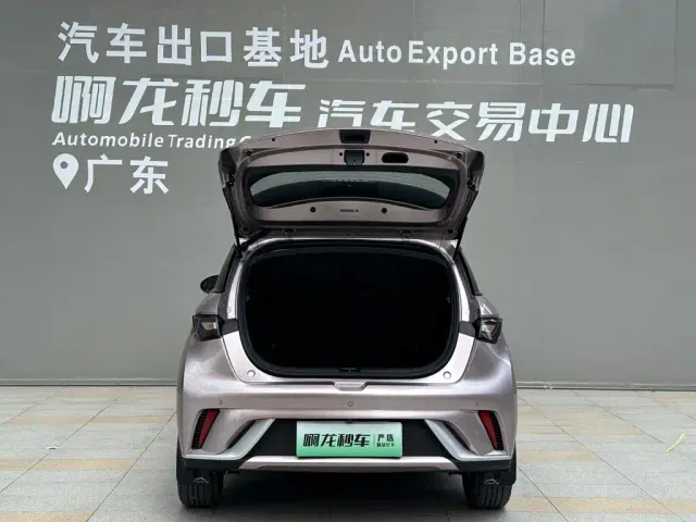 BYD Dolphin — Фото автомобиля 14