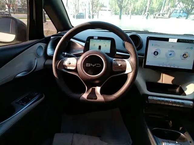 BYD Dolphin — Фото автомобиля 10