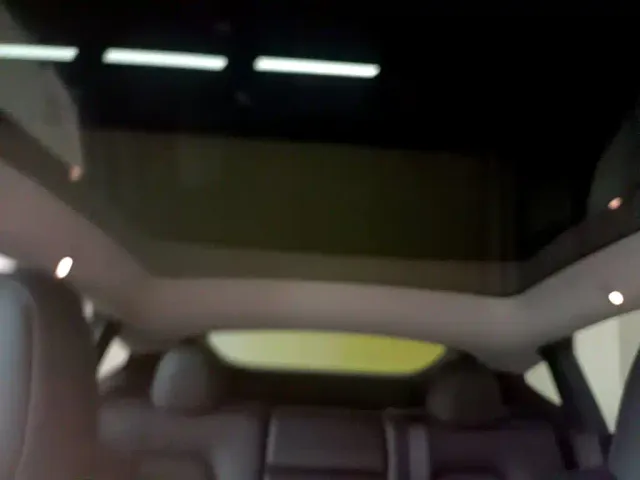 Tesla Model Y — Фото автомобиля 17