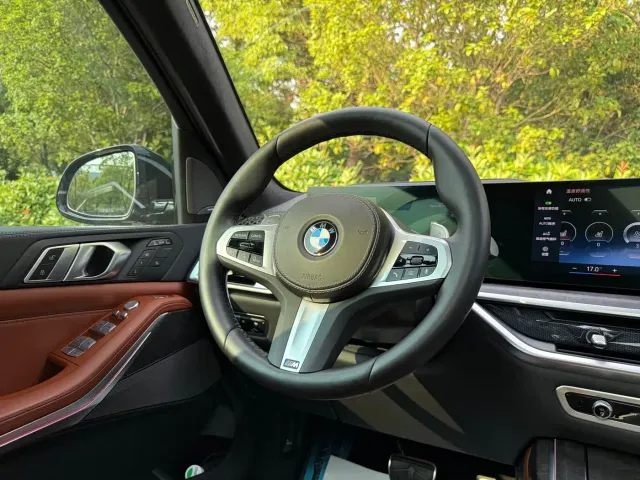 BMW X7 — Фото автомобиля 13