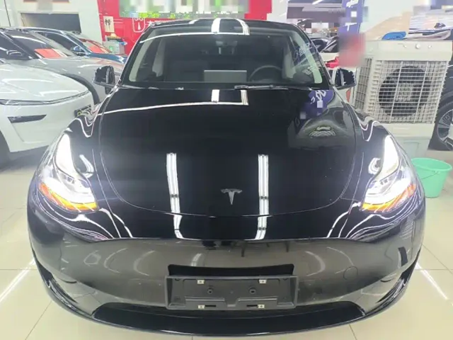 Tesla Model Y — Фото автомобиля 2