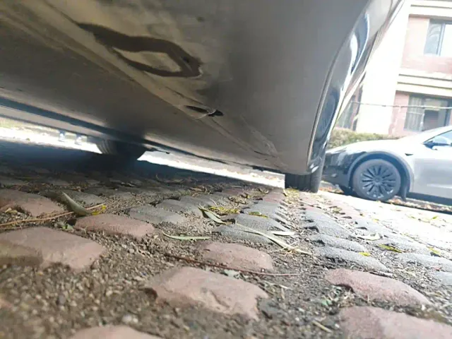 Tesla Model 3 — Фото автомобиля 18