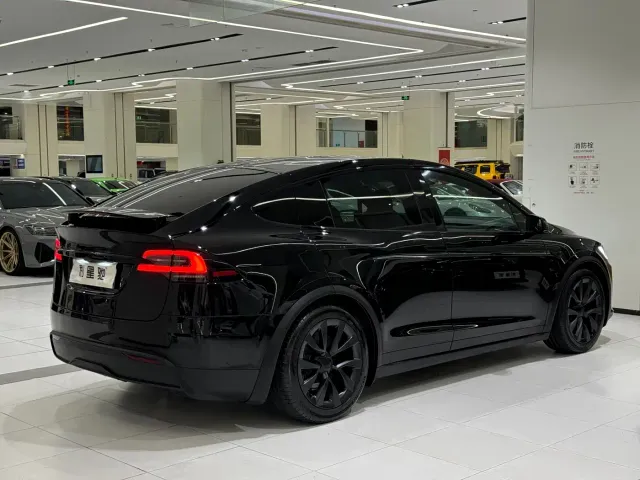 Tesla Model X — Фото автомобиля 25