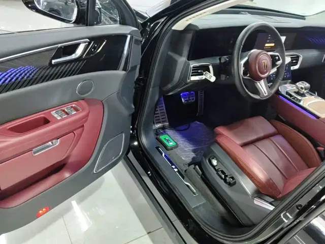 Hongqi E-HS9 — Фото автомобиля 15