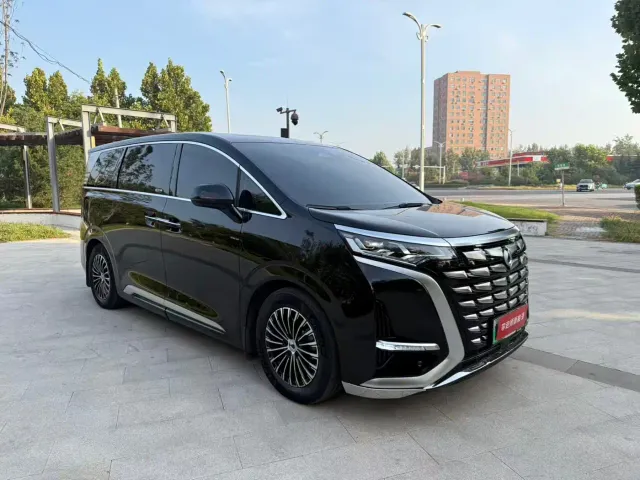 Denza D9 — Фото автомобиля 3