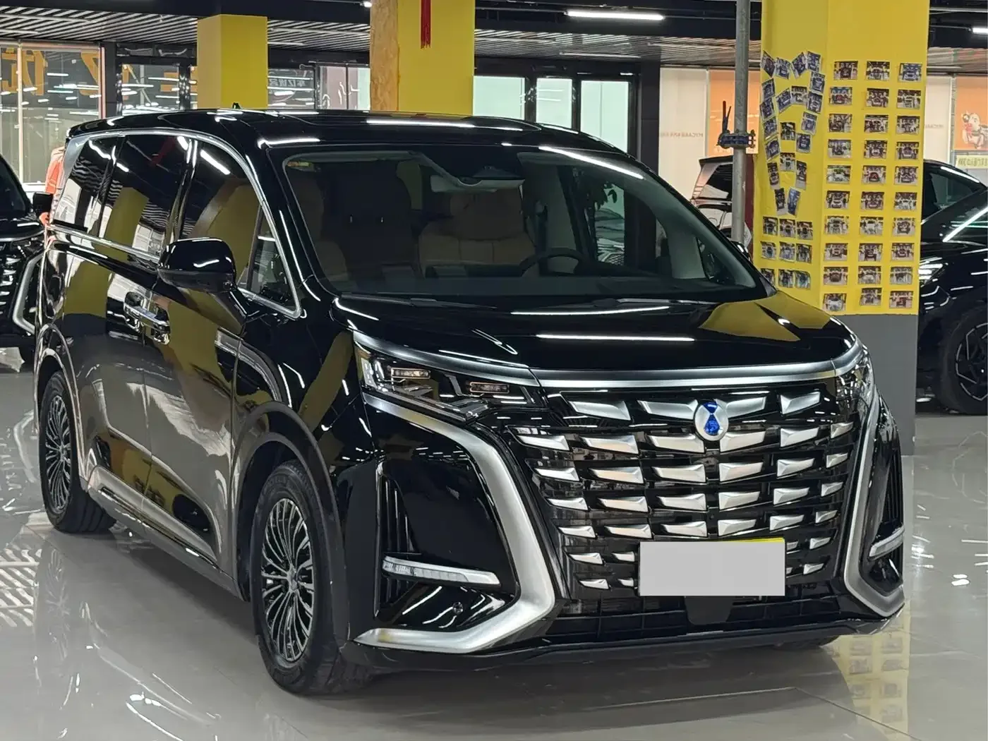 Denza Denza D9 2024 DM-i 980 AWD Prestige — Фото автомобиля 3