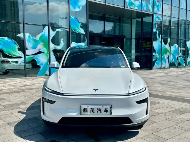 Tesla Model Y — Фото автомобиля 2