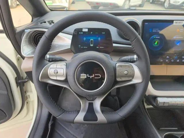 BYD Dolphin — Фото автомобиля 15