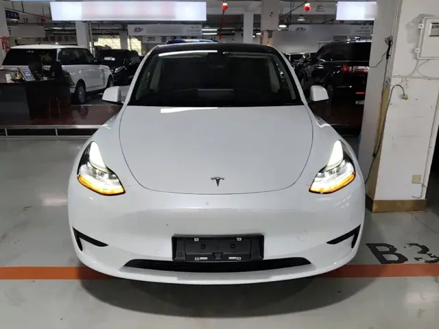 Tesla Model Y — Фото автомобиля 2