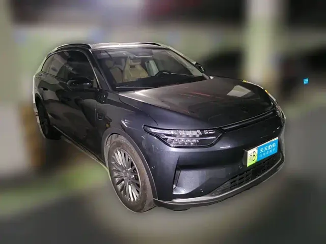 Leapmotor C11 — Фото автомобиля 3
