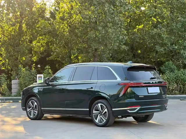 Wey Lanshan — Фото автомобиля 10