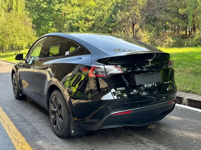 Tesla Model Y — Фото автомобиля 13