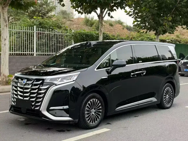 Фотография автомобиля — Denza D9