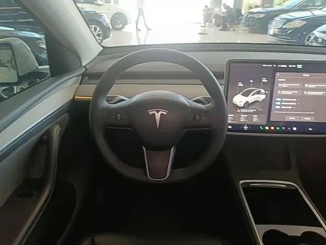 Tesla Model Y — Фото автомобиля 10