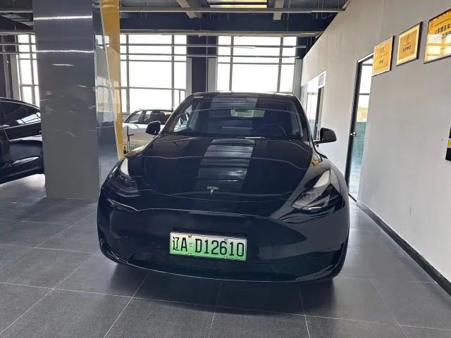 Tesla Model Y — Фото автомобиля 2