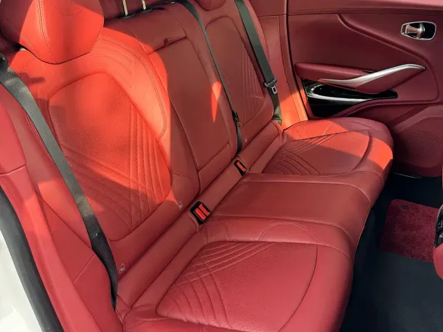 Aston Martin DBX — Фото автомобиля 14