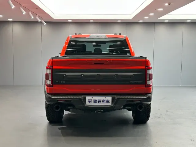 Ford F-150 Raptor — Фото автомобиля 5