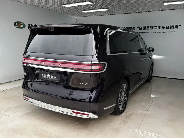 Luxeed Zunjie MPV — Фото автомобиля 5