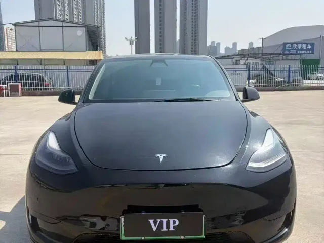 Tesla Model Y — Фото автомобиля 2