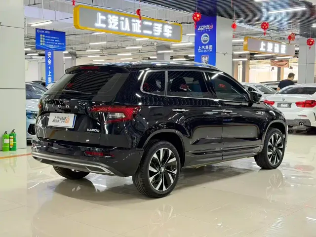 Skoda Karoq — Фото автомобиля 10