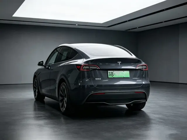 Tesla Model Y — Фото автомобиля 4