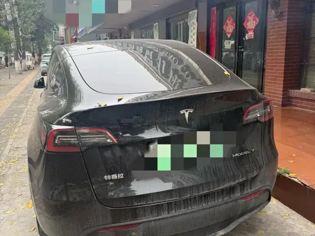 Tesla Model Y — Фото автомобиля 3