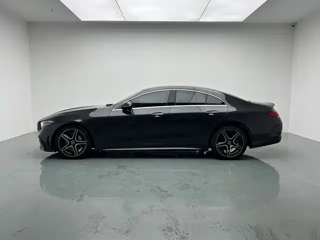 Mercedes-Benz CLS-Class — Фото автомобиля 6