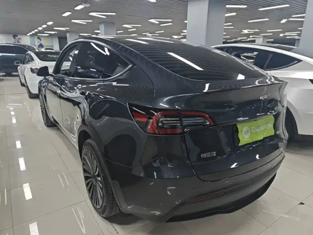 Tesla Model Y — Фото автомобиля 4
