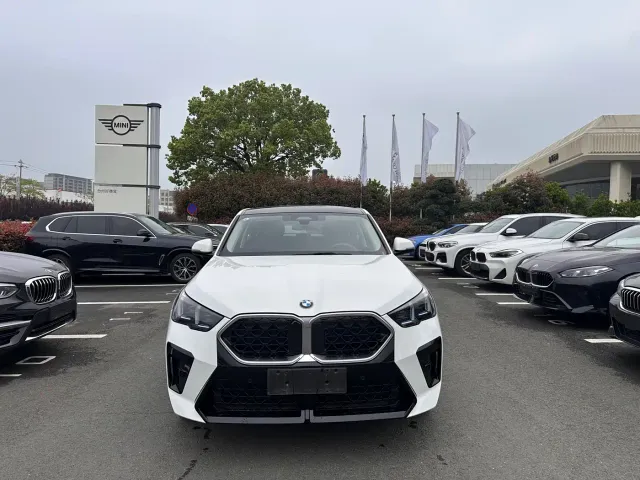 BMW X2 — Фото автомобиля 2