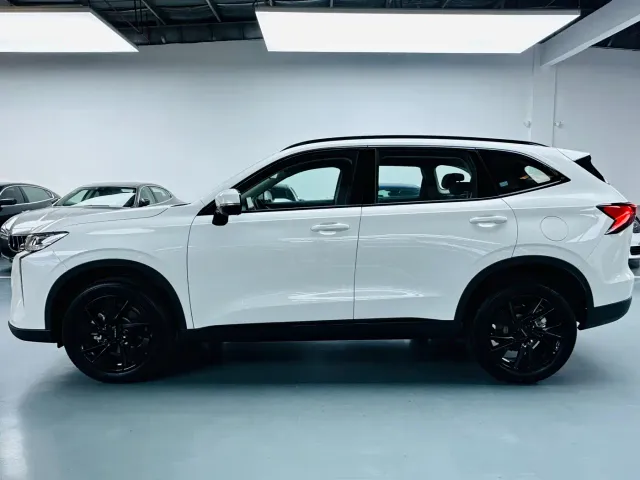 Haval H6 — Фото автомобиля 12