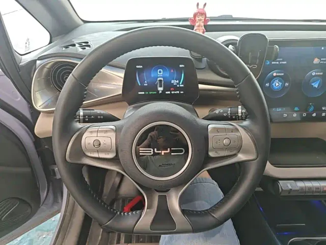 BYD Dolphin — Фото автомобиля 10