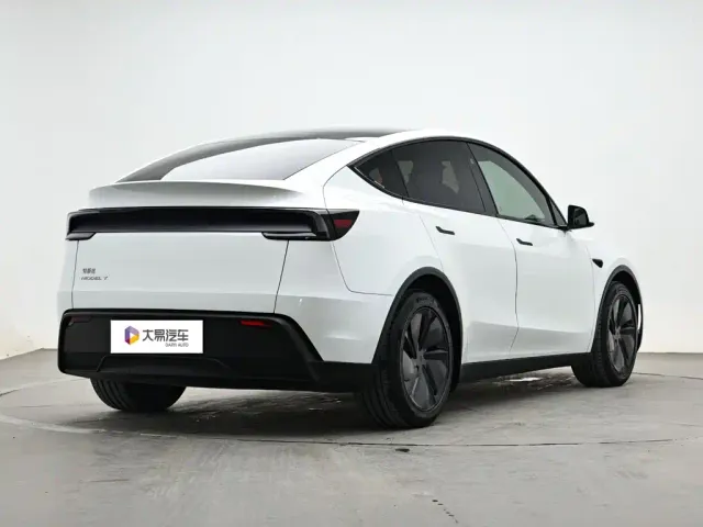 Tesla Model Y — Фото автомобиля 3