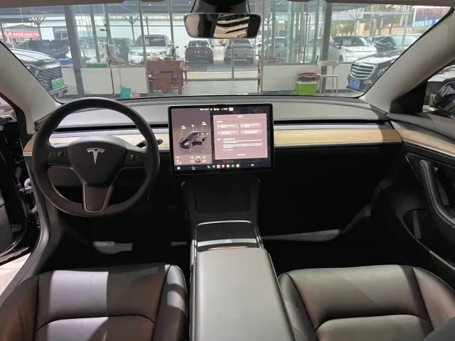 Tesla Model 3 — Фото автомобиля 6