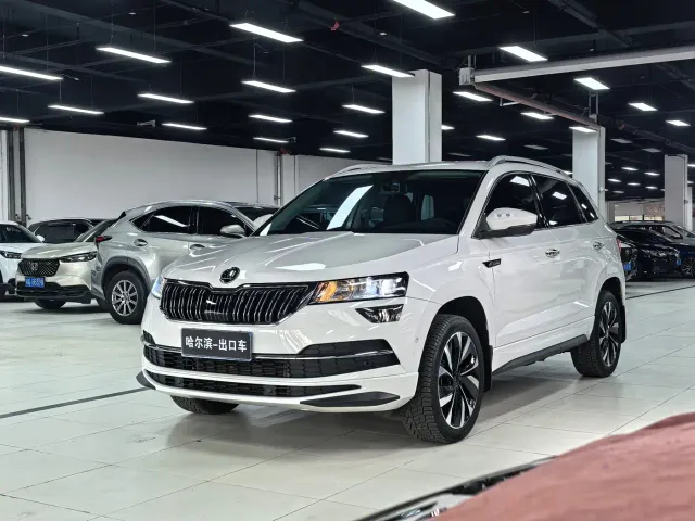Фотография автомобиля — Skoda Karoq