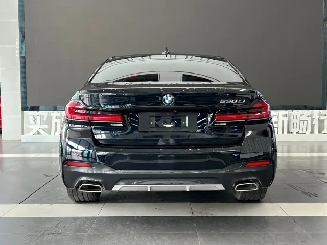 BMW 5 Series — Фото автомобиля 4