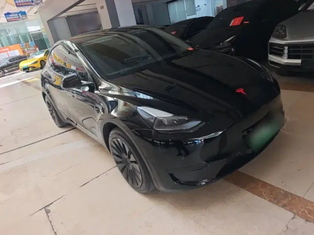 Tesla Model Y — Фото автомобиля 21